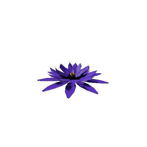Flower 9